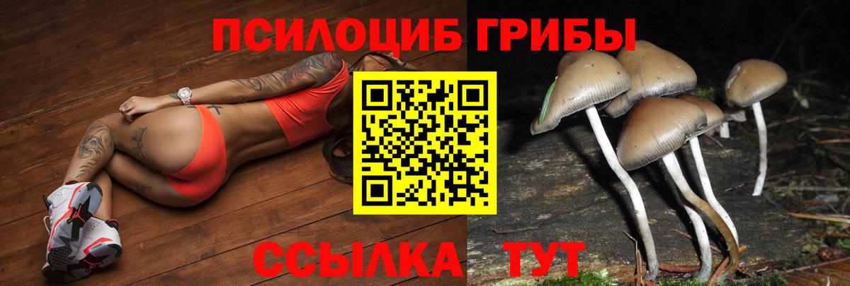 Грязи  Псилоцибиновые грибы GOLDEN TEACHER  Вход с VPN 