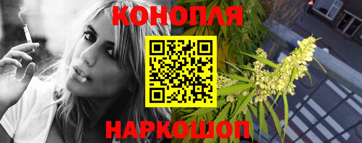 Марихуана сатива Грязи